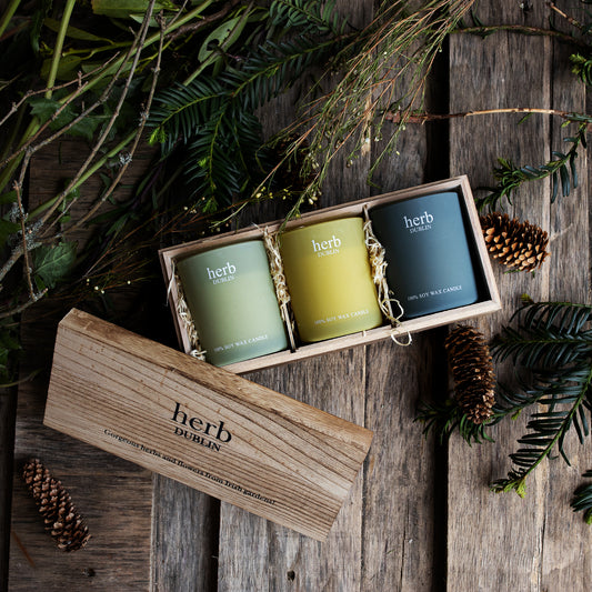 Trio Soy Candle Collection